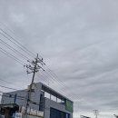 대풍농약사 이미지