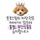 오픈독하우스 이미지