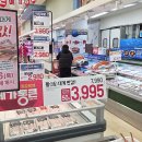 롯데쇼핑(주) 롯데마트 덕소점 | 롯데마트 메가통큰에서 특템한 것들 | 놓치면 안 될 추천템(인터넷 전단 포함)