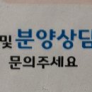 13번째고양이 이미지