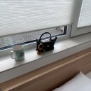 소시담가 이미지