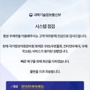 2025 9.29 월요일 우체국 추석 폭주기 국가정보자원관리원 화재 택배 접수 후기