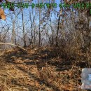 여주-0800 이미지