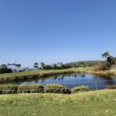 늘푸른 골프존 이미지