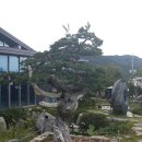 정원식당 앞 이미지