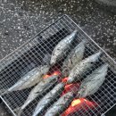 [탈고] 뒷마당 이미지