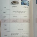 안경인생 이미지