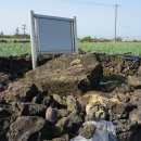 일과리 지석묘 이미지