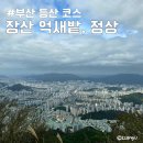 부산 등산 코스 장산 억새밭 개화상황 소요시간 무료 주차장 후기