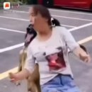 람바다 Daum카페