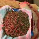 한뜸한의원 이미지