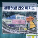 청룡텃밭 | 2025 서초구 도시텃밭 청룡텃밭 개장 후기