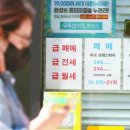 정도공인중개사 사무소 이미지