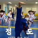 정도태권도체육관 이미지