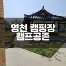 영천 캠핑장 캠프공존 사이트 C9 후기