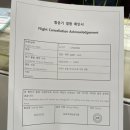 [제주]내가 보고 싶어서 정리하는 이번 제주여행(막둥이횟집,공백, 촌촌해녀촌, 신설오름, 거문오름)