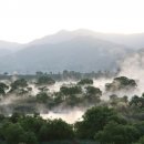 섬진강 침실습지 이미지