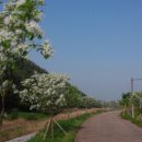 자라마을 이미지