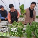 정찬수농장 네이버블로그