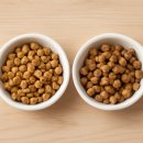 24시잠실ON동물의료센터 | 꼼꼼한 영양 분석 덕분에 다시 찾을 24시잠실ON동물의료센터 기록