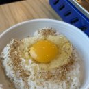 미식도감 | 여의도 회식 가족모임으로 좋은 여의도감 샤브샤브 보쌈 리뷰