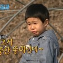 요미하우스