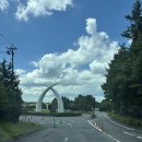 도그이살롱 | 사파리 동물원 구경, 강아지카페 도그살롱 내돈내산 솔직후기 ( 입장료/ 꿀팁정보/ 시간 / 주의사항 )