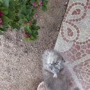 연희민박 | [이집트 자유여행] #4 다합 라이트하우스 카페 사우나 준비물 솔직후기