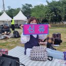 유월의 피크닉 이미지