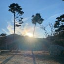 별빛농장 이미지