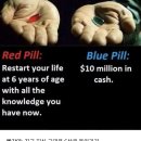 빨간약 vs 파란약 이미지