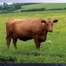 아는가게 이미지