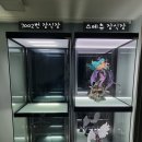 마이뮤지엄