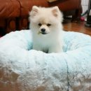 봉구