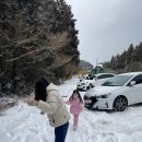 남조로사려니숲길 앞 이미지