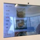 화선식당 | 시흥 오이도 여행 필수 방문 맛집 밥주까 회주까 (ft. 깜짝 놀란 홍게 서비스)