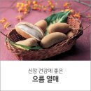 [신장건강에 좋은 으름열매 ] 이미지