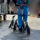 (주)마린푸드시스템 | 후쿠오카 마린월드 우미노나카미치 후기 | 하카타역에서 가는법 • 4살 아이가 좋아할까?