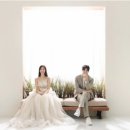 하이,포포 이미지