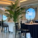 어반크루즈 이미지