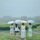 홍차 티클래스 | 제주/올티스 티클래스 후기, 비오는날 가볼만한 곳 추천