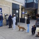 강아지나라 이미지