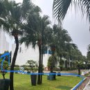 오빠네견과류 | 다낭 가좍여행 2탄 3박5일 끗