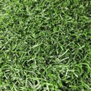 매성중학교 이미지