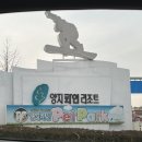 용인 양지파인리조트 눈썰매장 이용후기 서울 근교 눈썰매 추천 장갑필수!