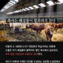 형제축산 이미지