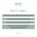 플란타