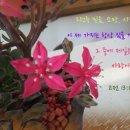 광음교회 이미지