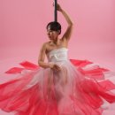 폴 | 하음파파 스튜디오 폴프로필 후기