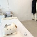 슈슈네가게 이미지